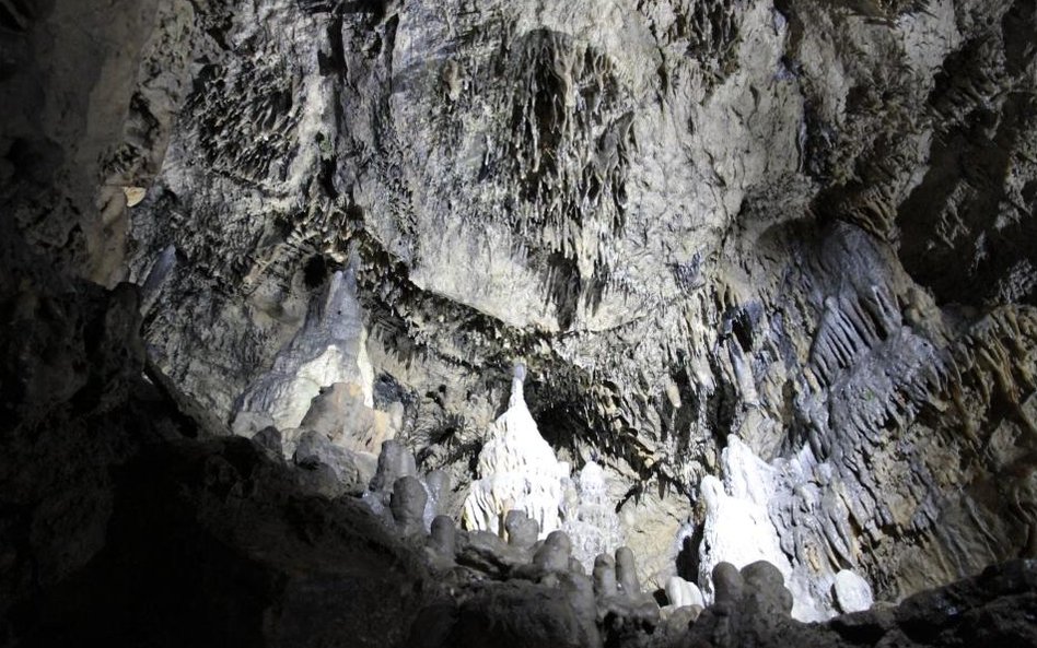 Jaskinie w Han-sur-Lesse w Belgii