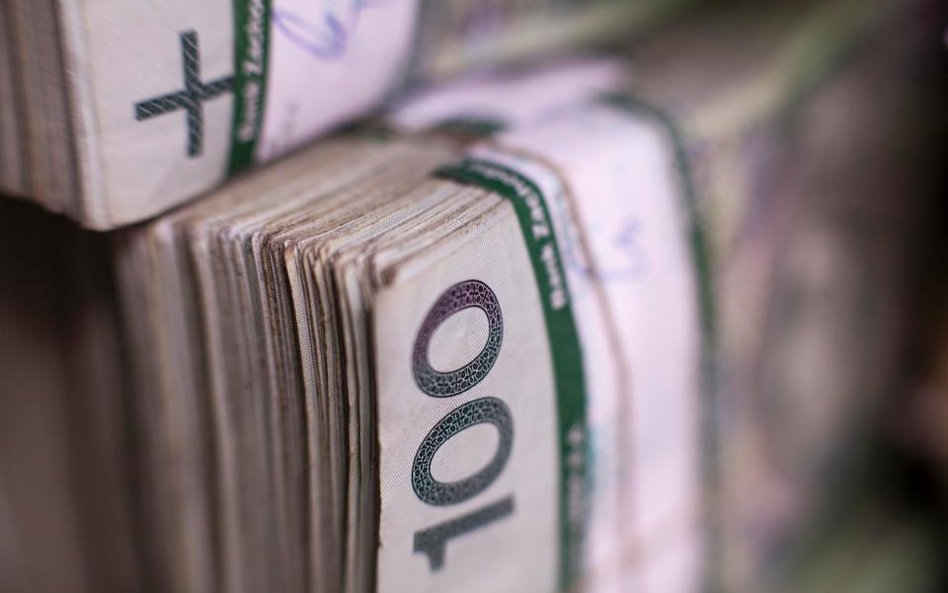 Grupa Hawe kontrolowana przez Marka Falentę powinna spłacić w tym roku 90 mln zł.