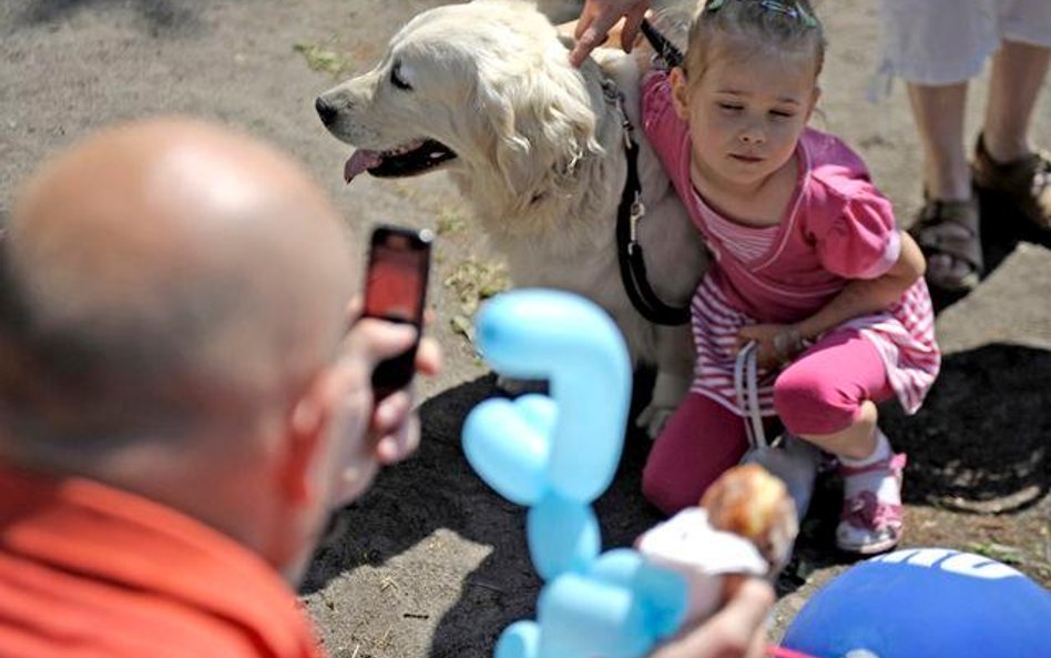 Dogoterapia. Dzień Dogoterapii. Akcja Pomóżmy Razem