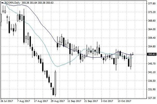 Notowania kukurydzy w USA – dane dzienne
