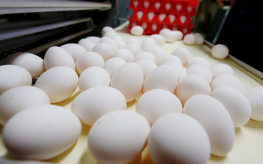 UE przywróci w piątek cła na jaja i cukier z Ukrainy