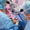 Operacje zaćmy są za granicą o połowę tańsze niż w Polsce. I nie trzeba czekać w kolejce