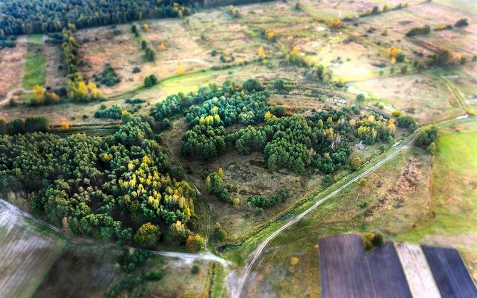 fot. Łukasz Miechowicz