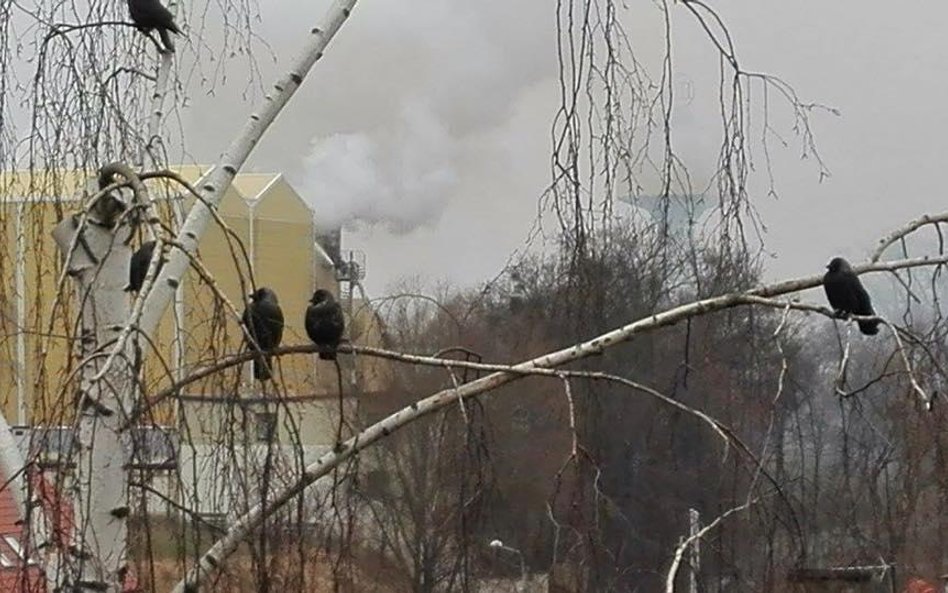 Pożar browaru w Braniewie. Starżacy dym dostrzegli ze swojej komendy przed godz.8