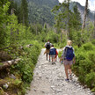 Turyści na szlakach w Tatrach