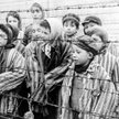 Holenderskie koleje zapłacą odszkodowanie ocalałym z Holokaustu
