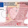 Wzór nowego prawa jazdy, awers