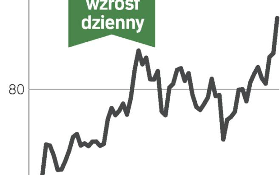 Notowania miedzi pociągnęły KGHM