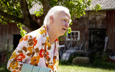 Nominacja w kategorii najlepszy makijaż i stylizacja fryzur: Stulatek, który wyskoczył przez okno i 