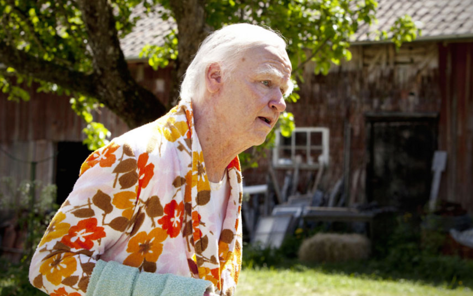 Nominacja w kategorii najlepszy makijaż i stylizacja fryzur: Stulatek, który wyskoczył przez okno i 