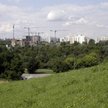 Wciąż można być rolnikiem w mieście