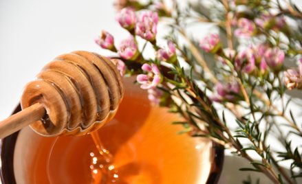 Miód manuka alternatywą dla antybiotyków