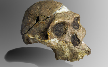 Ludzkie szczątki znalezione w jaskini są milion lat starsze niż sądzono