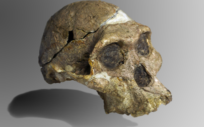 Ludzkie szczątki znalezione w jaskini są milion lat starsze niż sądzono