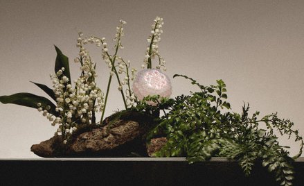 Autorką projektu jest Brytyjka Justina Alexandroff, absolwentka prestiżowego uniwersytetu Central Sa