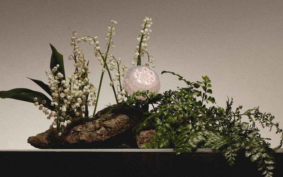 Autorką projektu jest Brytyjka Justina Alexandroff, absolwentka prestiżowego uniwersytetu Central Sa