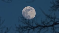 NASA planuje wdrożenie reaktorów jądrowych na Księżycu do 2030 roku