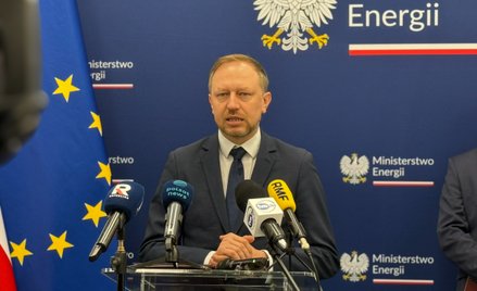 Wojciech Wrochna, pełnomocnik rządu do spraw strategicznej infrastruktury energetycznej, wiceministe