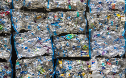 2021 to rok walki z plastikiem. Biznes szykuje się na zmiany