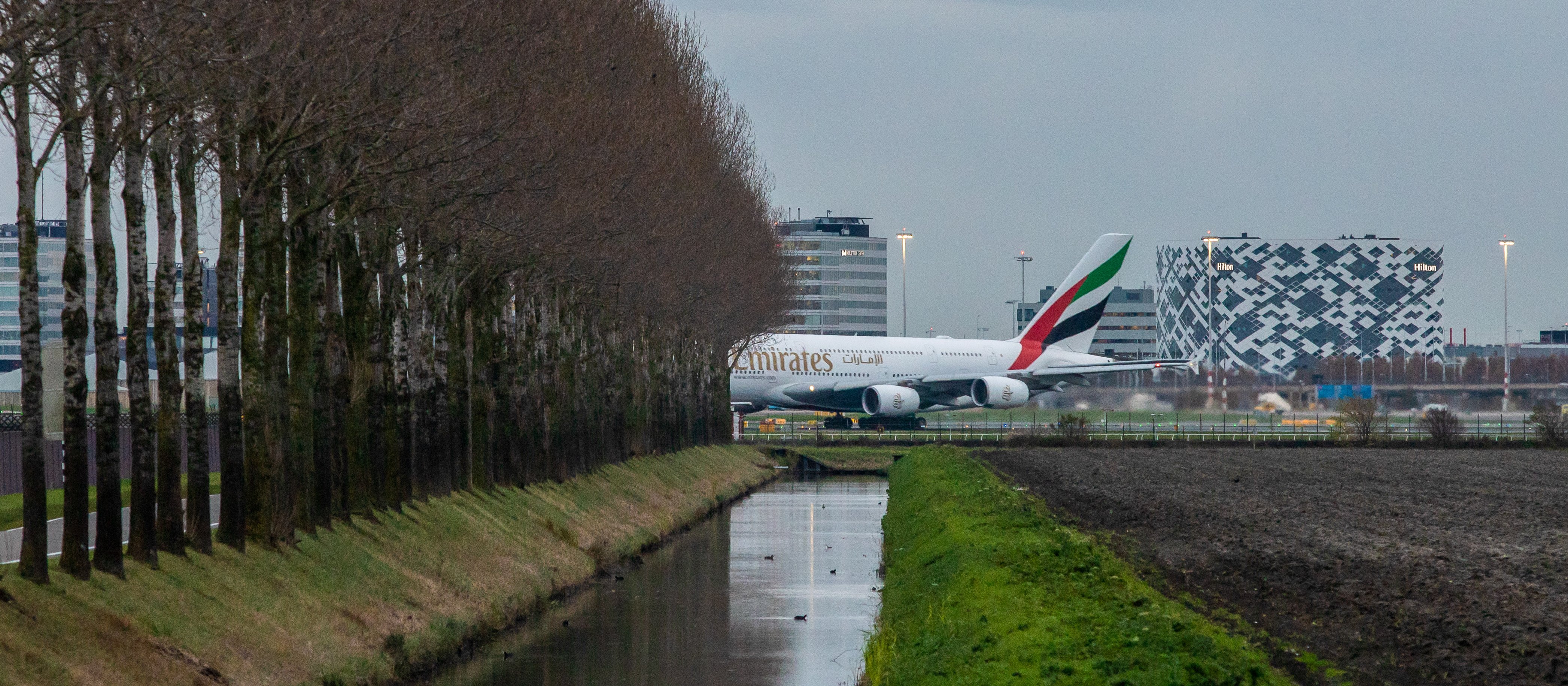 „Trójka z Zatoki”. Dlaczego arabskie linie lotnicze odniosły sukces