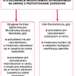KTO EGZAMINUJE MŁODOCIANEGO ZATRUDNIONEGO NA UMOWĘ O PRZYGOTOWANIE ZAWODOWE