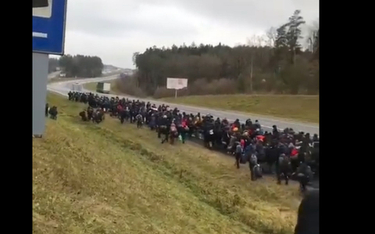 Grupa imigrantów w pobliżu granicy z Polską