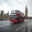 Brexit niestraszny, ale podróże już tak