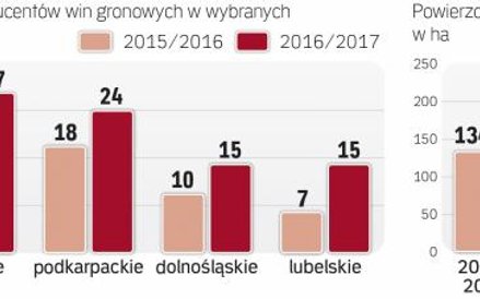 Małopolskie, Lubuskie i Podkarpackie na czele stawki