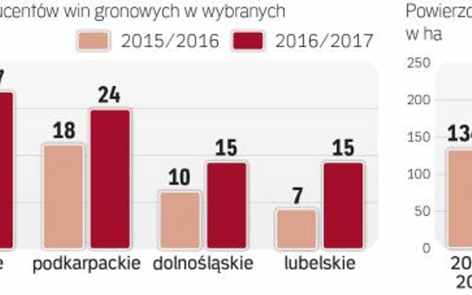 Małopolskie, Lubuskie i Podkarpackie na czele stawki