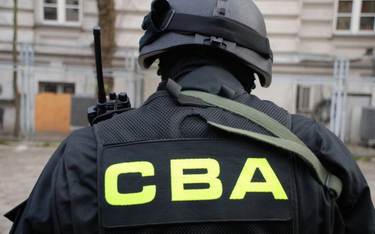 Piotr Paduszyński: Bez pionu śledczego CBA ujawniałoby tyle samo przypadków łapownictwa