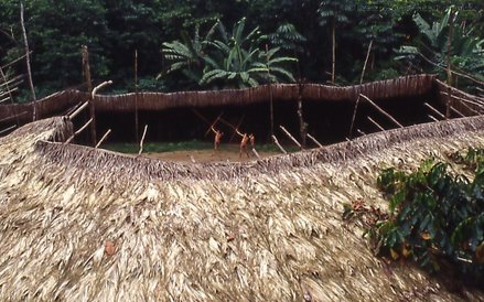 Wspólna chata szapono służy na kilka lat, potem buduje się nową