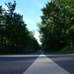 Bieg dla Słonia pamięci Artura Hajzera