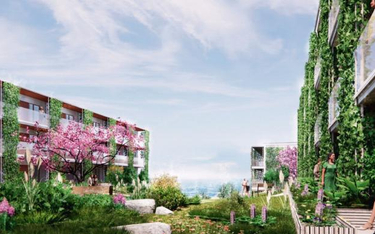 Origin Investments i giełdowy Pekabex zbudują pod Gdynią kompleks z mieszkaniami dla seniorów