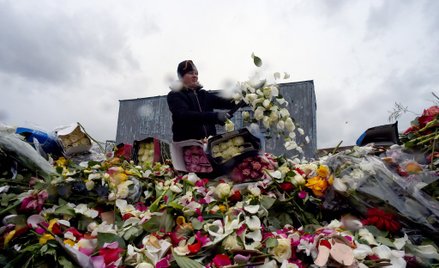 Miliony róż ląduje na śmietniskach. Rosyjscy ogrodnicy podliczają straty