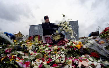 Miliony róż ląduje na śmietniskach. Rosyjscy ogrodnicy podliczają straty
