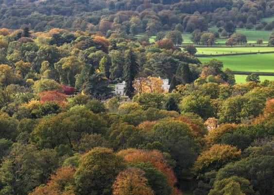 Rezydencja Royal Lodge, widok z drona