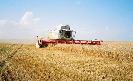 Kernel chce zwiększyć sprzedaż oleju i zbóż