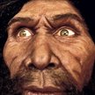 Homo erectus dorównywał wzrostem współczesnemu człowiekowi – osiągał 180 cm