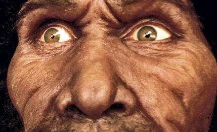 Homo erectus dorównywał wzrostem współczesnemu człowiekowi – osiągał 180 cm