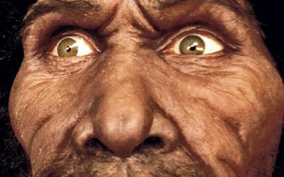 Homo erectus dorównywał wzrostem współczesnemu człowiekowi – osiągał 180 cm