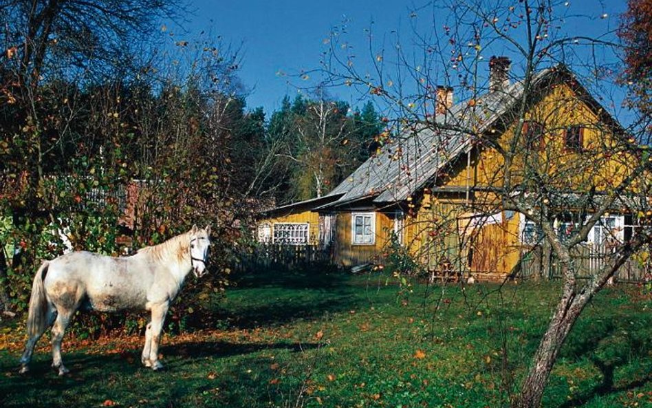 Dzukijski Park Narodowy znajduje się w jednym z piękniejszych krajobrazowo regionów Litwy