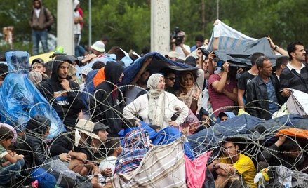 Sławomir Neumann: Uchodźcy nie będą wysadzać przedszkoli