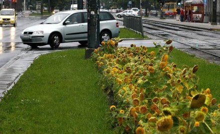 Prowadzisz nierzetelnie ewidencję, nie odliczysz wydatków na samochód