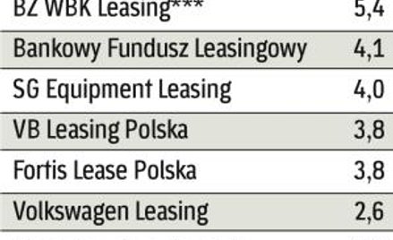 33 mld zł to finansowanie leasingiem udzielone w 2008 r. W tym roku może być niższe.