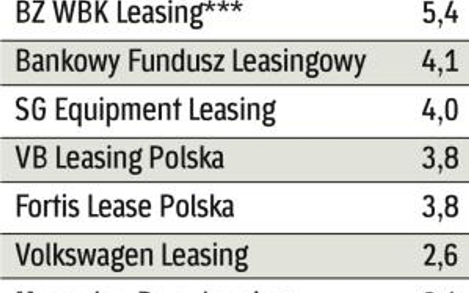 33 mld zł to finansowanie leasingiem udzielone w 2008 r. W tym roku może być niższe.