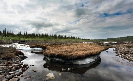 Naukowcy próbują przewidzieć konsekwencje rozmrażania wiecznej zmarzliny m.in. na terenie Alaski
