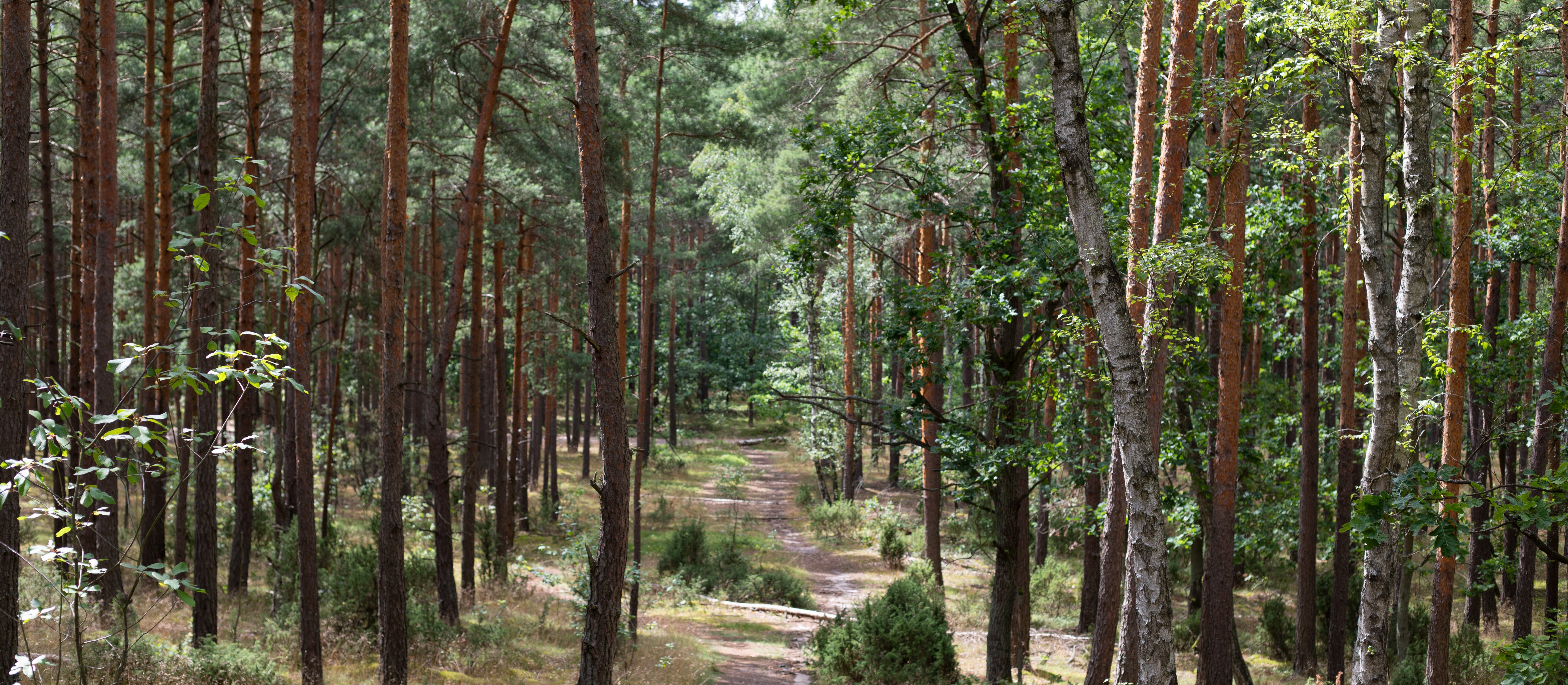 Kaarzyna Batko-Tołć: Przyjdzie kara na greenwashing i fact-checking washing?