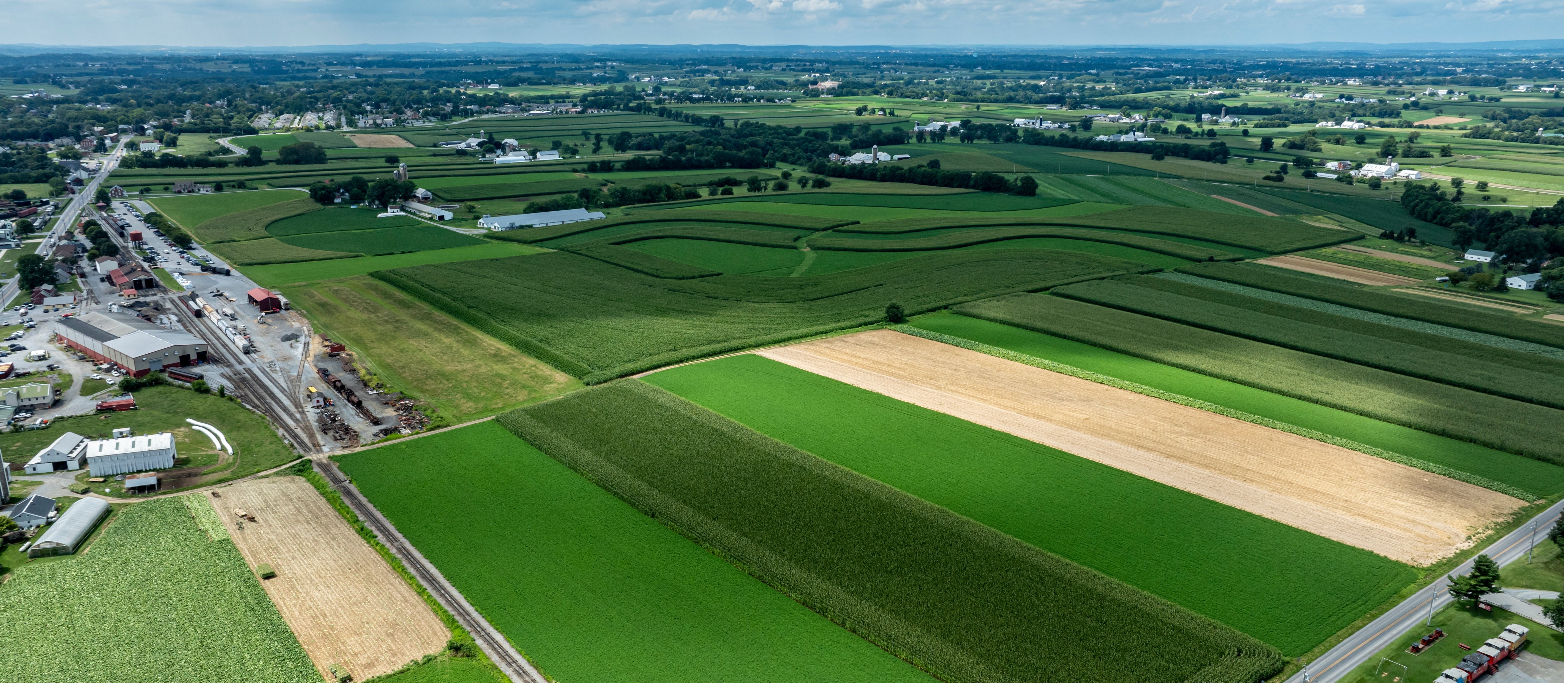 Wartość troski o klienta w świecie pełnym zawirowań