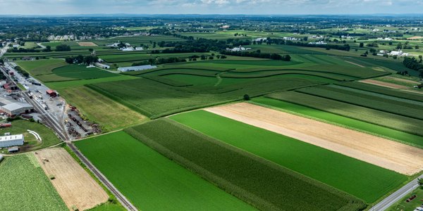 Wartość troski o klienta w świecie pełnym zawirowań