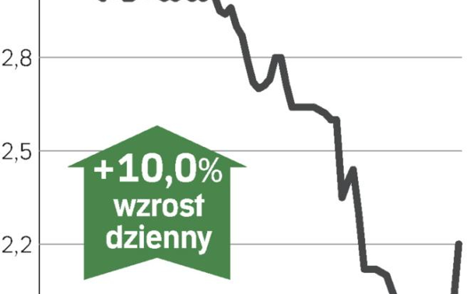 Duży popyt na akcje Netii